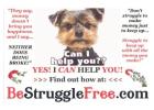 Make $600 a day with daily pay!