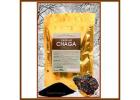 Buy Potent Chaga Extract - Freeze-Dried & Water Soluble