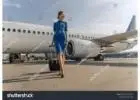 https://www.devex.com/people/iifaqii-como-llamar-a-american-airlines